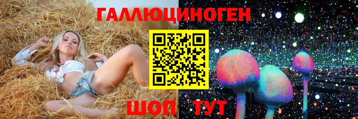 Псилоцибиновые грибы Psilocybe Урюпинск