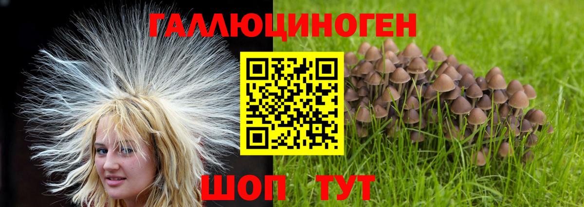 Урюпинск  Галлюциногенные грибы Psilocybine cubensis  купить  цена  Псилоцибиновые грибы Psilocybe  Вход с VPN 